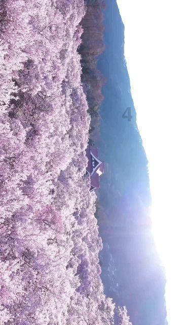主公莫慌