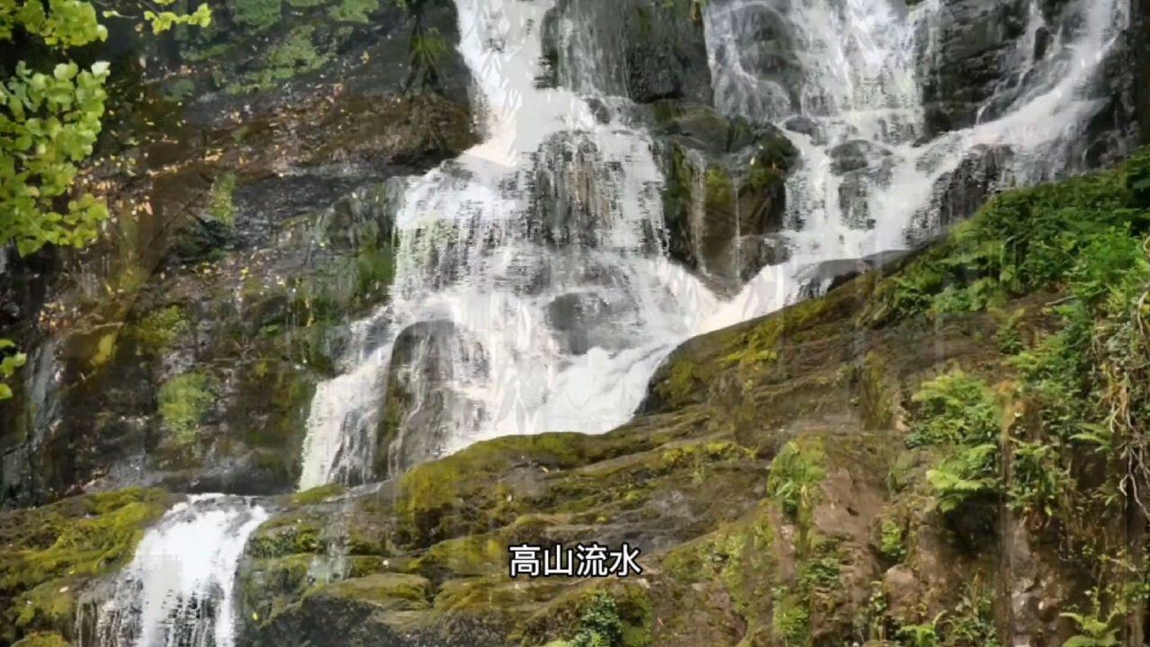你知道现代尚方宝剑吗？